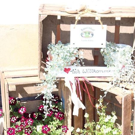 Ferienwohnung Auf Dem Bauernhof Chociebuż Zewnętrze zdjęcie