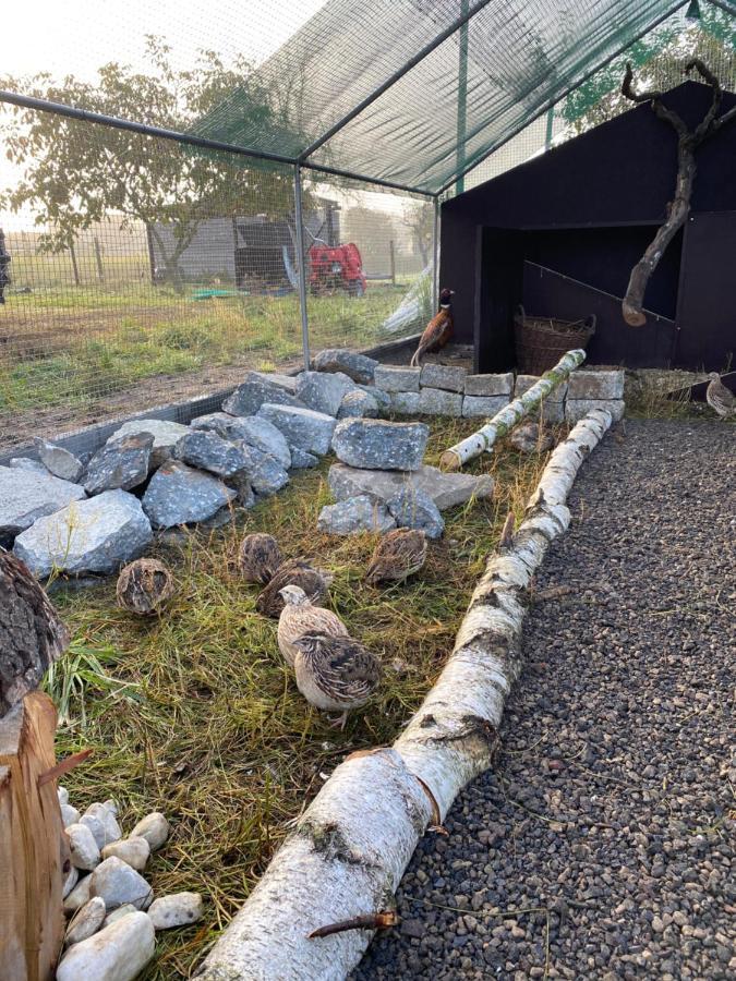 Ferienwohnung Auf Dem Bauernhof Chociebuż Zewnętrze zdjęcie