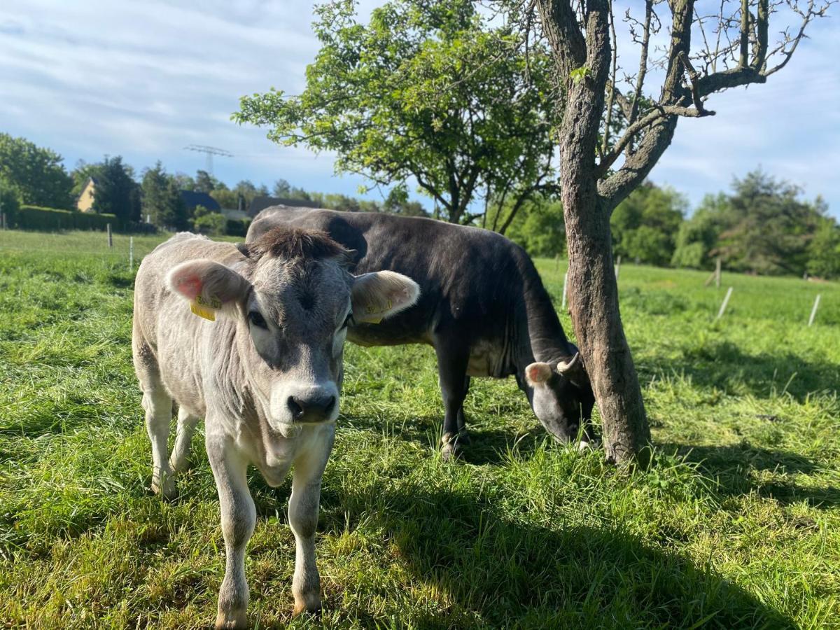 Ferienwohnung Auf Dem Bauernhof Chociebuż Zewnętrze zdjęcie